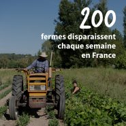 200 fermes disparaissent chaque semaine en France