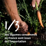 1/3 des légumes consommés en France sont issus de l'importation